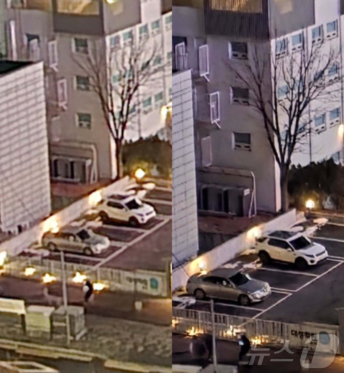본문 이미지 - 서울 동작구 노량진 일대 야경을 찍은 뒤 주차장을 최대 줌한 이미지. 갤럭시 S24&#40;왼쪽&#41; 대비 갤럭시 S25&#40;오른쪽&#41;의 결과물이 훨씬 선명해졌음이 확인된다./뉴스1 ⓒ News1 윤주영 기자