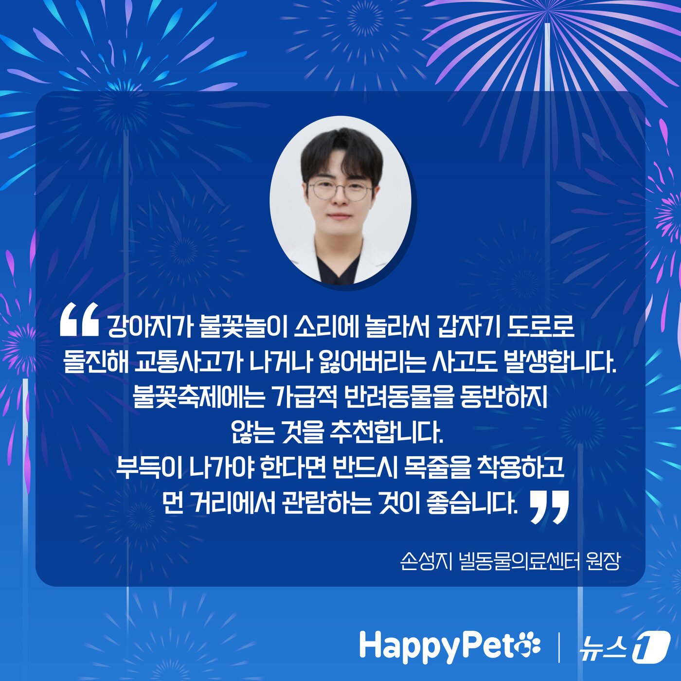 본문 이미지 - 불꽃놀이 펫카드 ⓒ 뉴스1