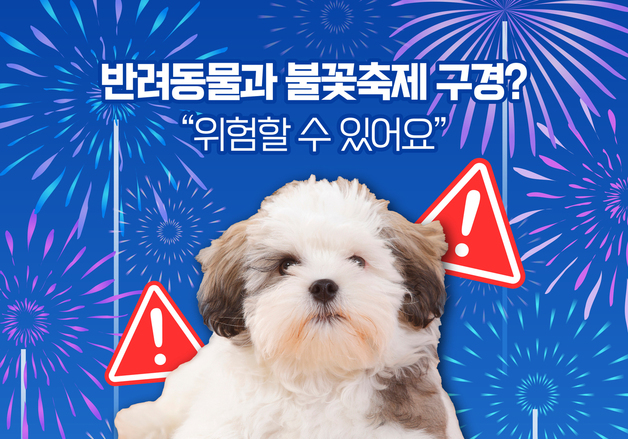 강아지와 불꽃축제 낭만 즐기기?…"동물들은 스트레스"[펫카드]