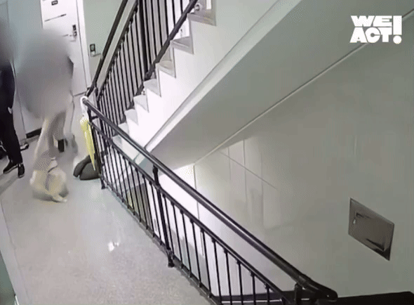 본문 이미지 -  (동물구조단체 사단법인 위액트 제공)