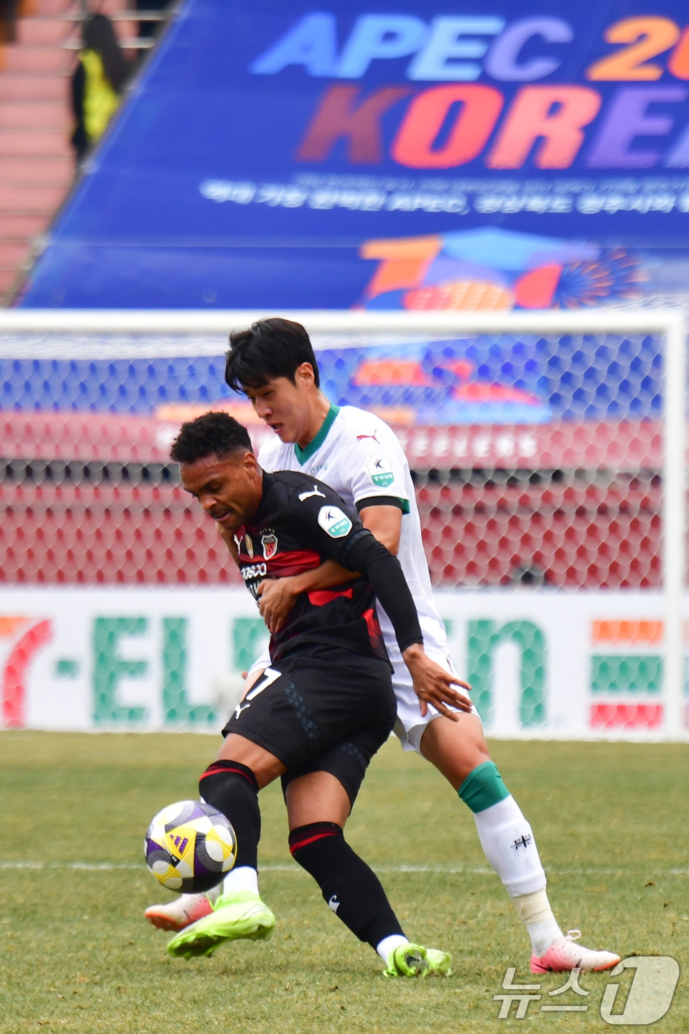 (포항=뉴스1) 최창호 기자 = 15일 오후 경북 포항 스틸야드에서 열린 하나은행 K리그1 2025 프로축구 포항 스틸러스와 대전  하나 시티즌 경기 전반 포항 주닝요가 대전 마사 …