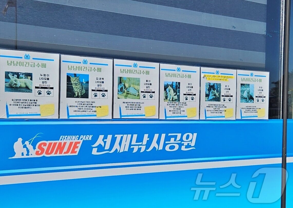 본문 이미지 - 선재낚시공원 건물에 부착된 고양이 소개문 ⓒ 뉴스1