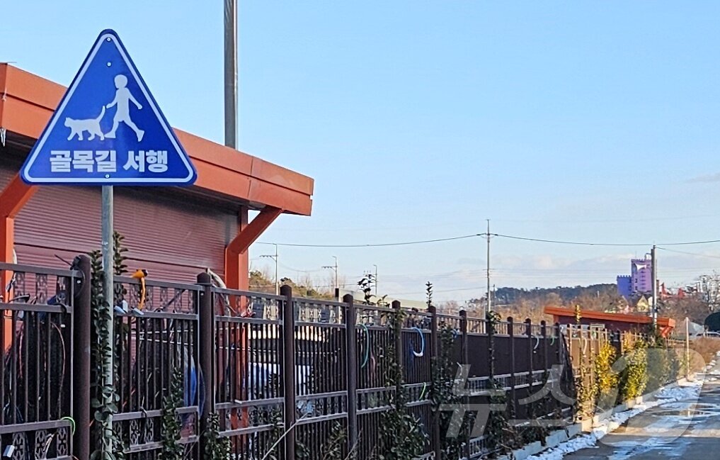 본문 이미지 - 선재도에 설치된 골목길 서행 표지판 ⓒ 뉴스1