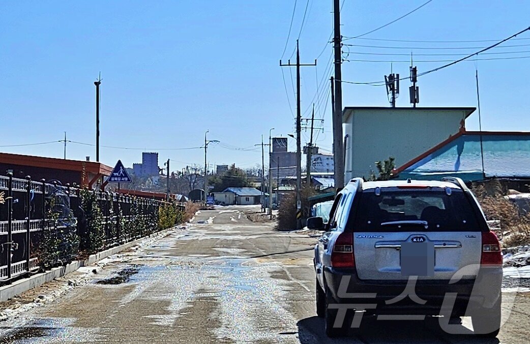 본문 이미지 - 선재도 내 설치된 고양이 로드킬 방지 표지판 ⓒ 뉴스1