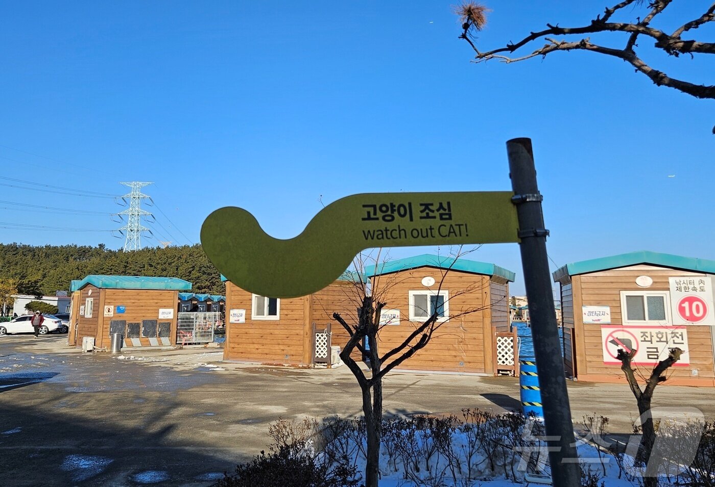 본문 이미지 - 선재도 내 설치된 고양이 로드킬 방지 표지판 ⓒ 뉴스1