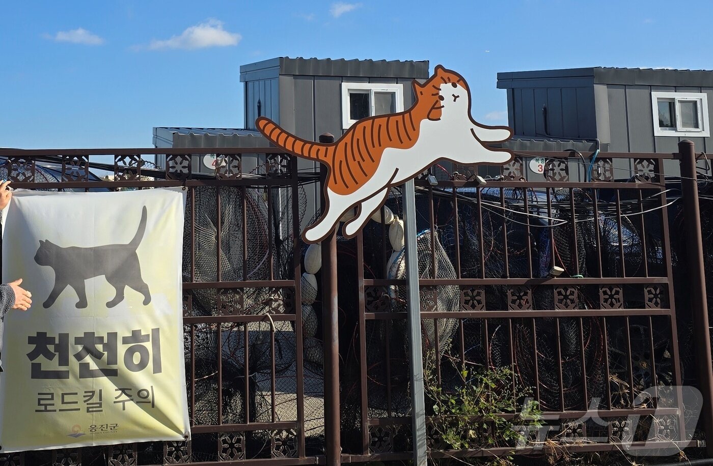 본문 이미지 - 선재도 내 설치된 고양이 로드킬 방지 표지판 ⓒ 뉴스1