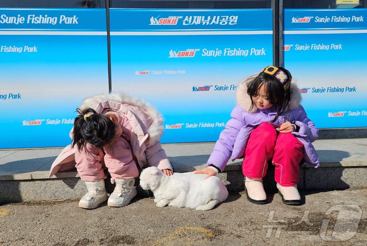 본문 이미지 - 선재도를 찾은 아이들이 고양이를 쓰다듬고 있다. ⓒ 뉴스1