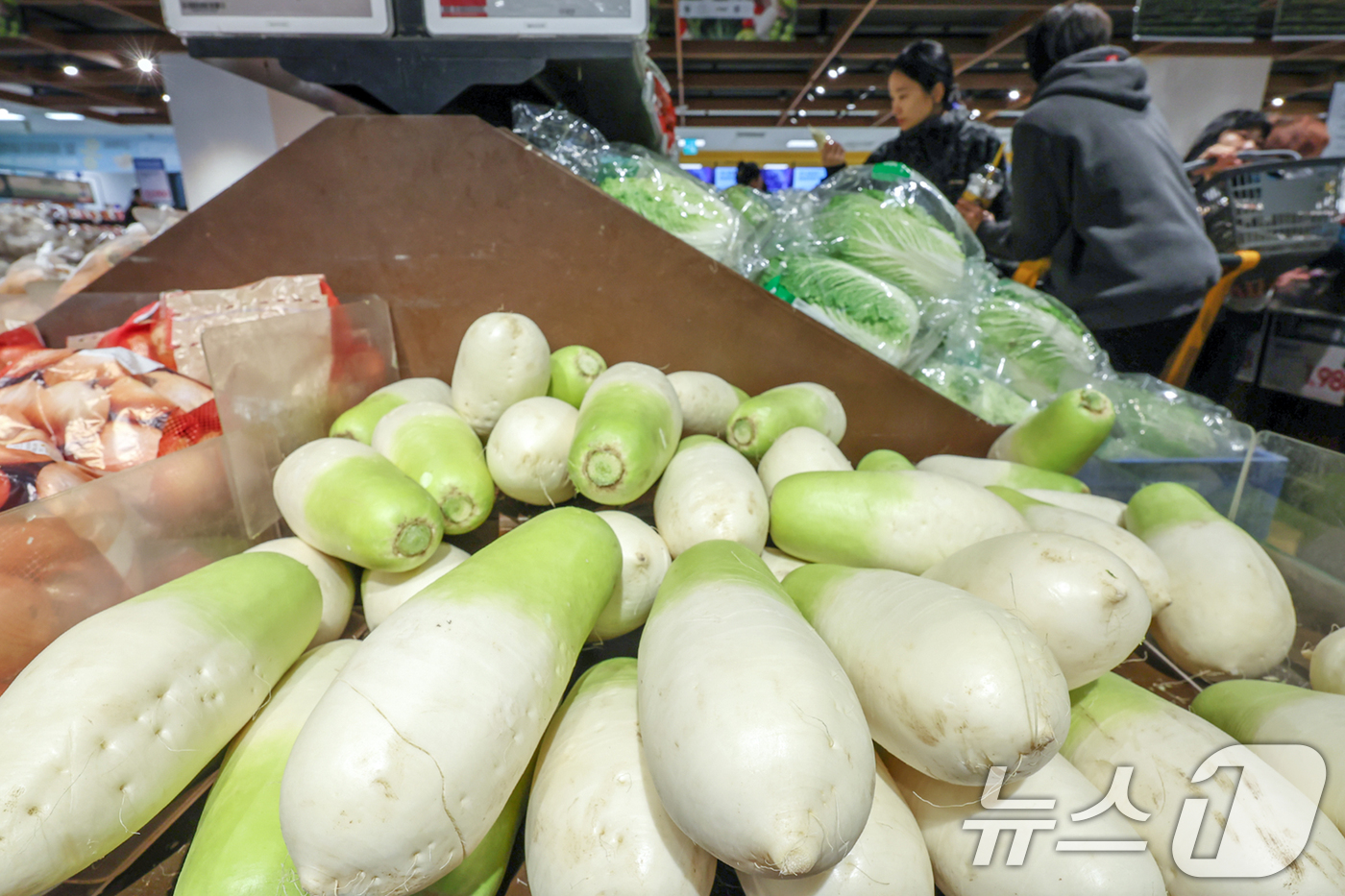 (서울=뉴스1) 민경석 기자 = 작물이 주로 나는 남부 지방에서 최근 폭설이 내리면서 농작물 피해가 발생해 '베지플레이션'(채소류 가격 급등) 현상이 나타나고 있다.16일 서울의 …