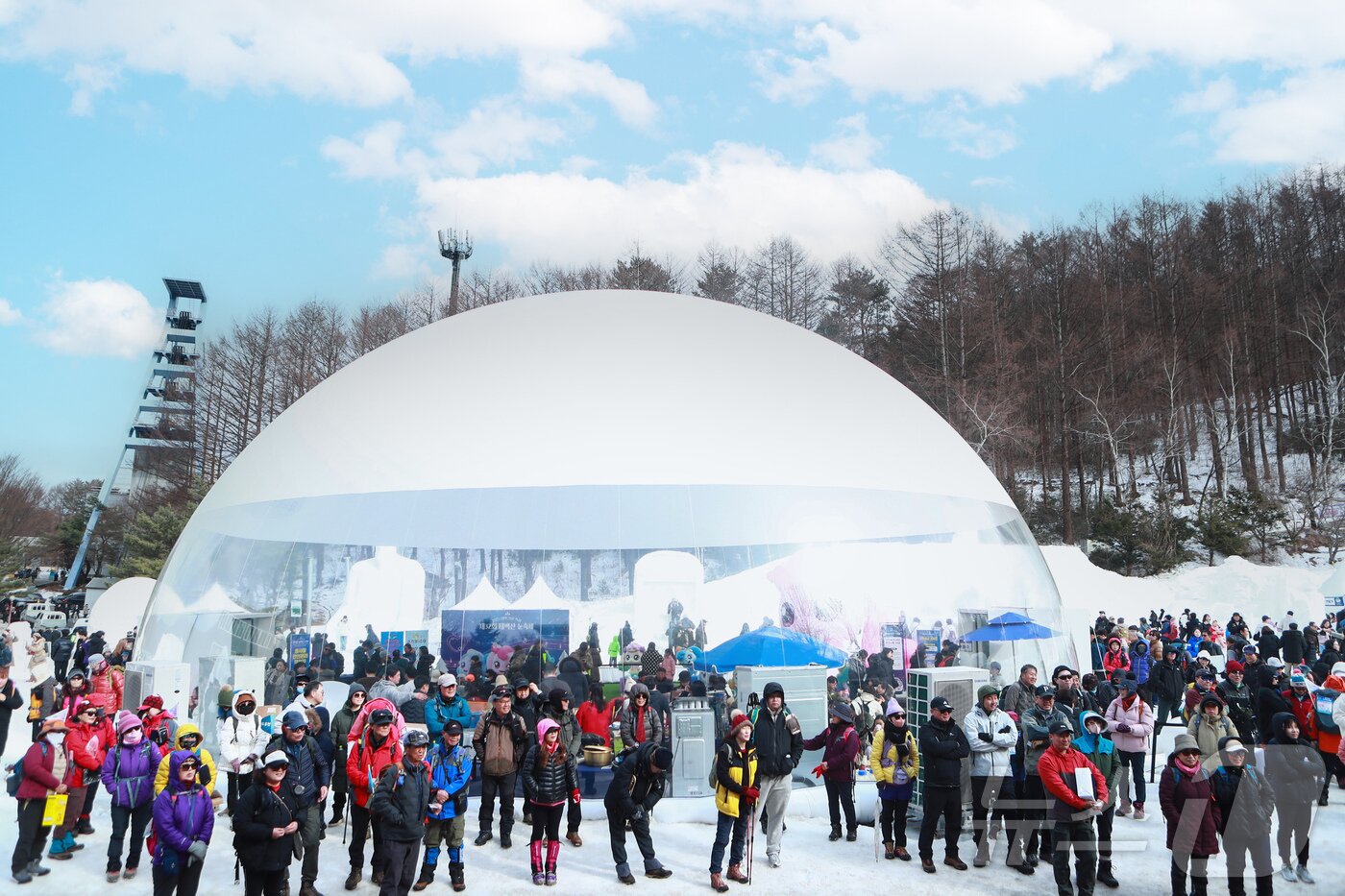 본문 이미지 - 지난 15일 태백산눈축제 현장.&#40;태백시 제공. 재만패 및 DB 금지&#41;