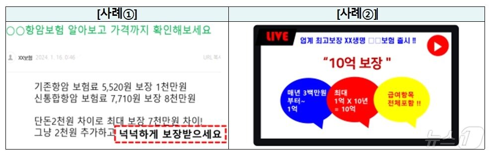 본문 이미지 - 주요 금융상품 광고 점검결과 유의사항 등 안내/사진제공=금융감독원