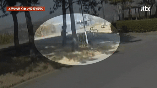 본문 이미지 - (JTBC '사건반장' 갈무리)