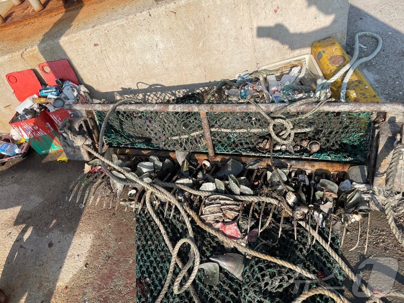 본문 이미지 - 지난 15일 창원시 진해구 명동 앞바다에서 어촌계에 발각된 불법조업 선박이 버리고 간 형망틀(조개 채취 어구)과 조개 모습.(명동어촌계 제공. 재판매 및 DB금지)
