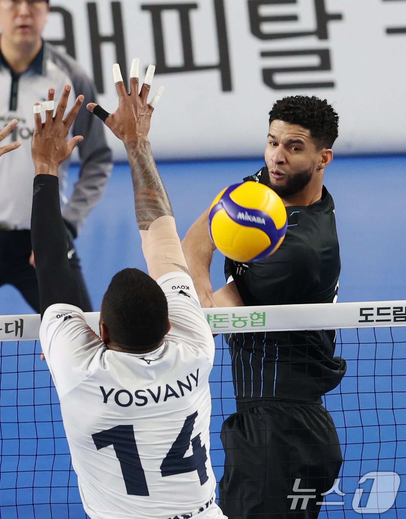 본문 이미지 - 현대캐피탈 레오. / 뉴스1 DB ⓒ News1 김영운 기자