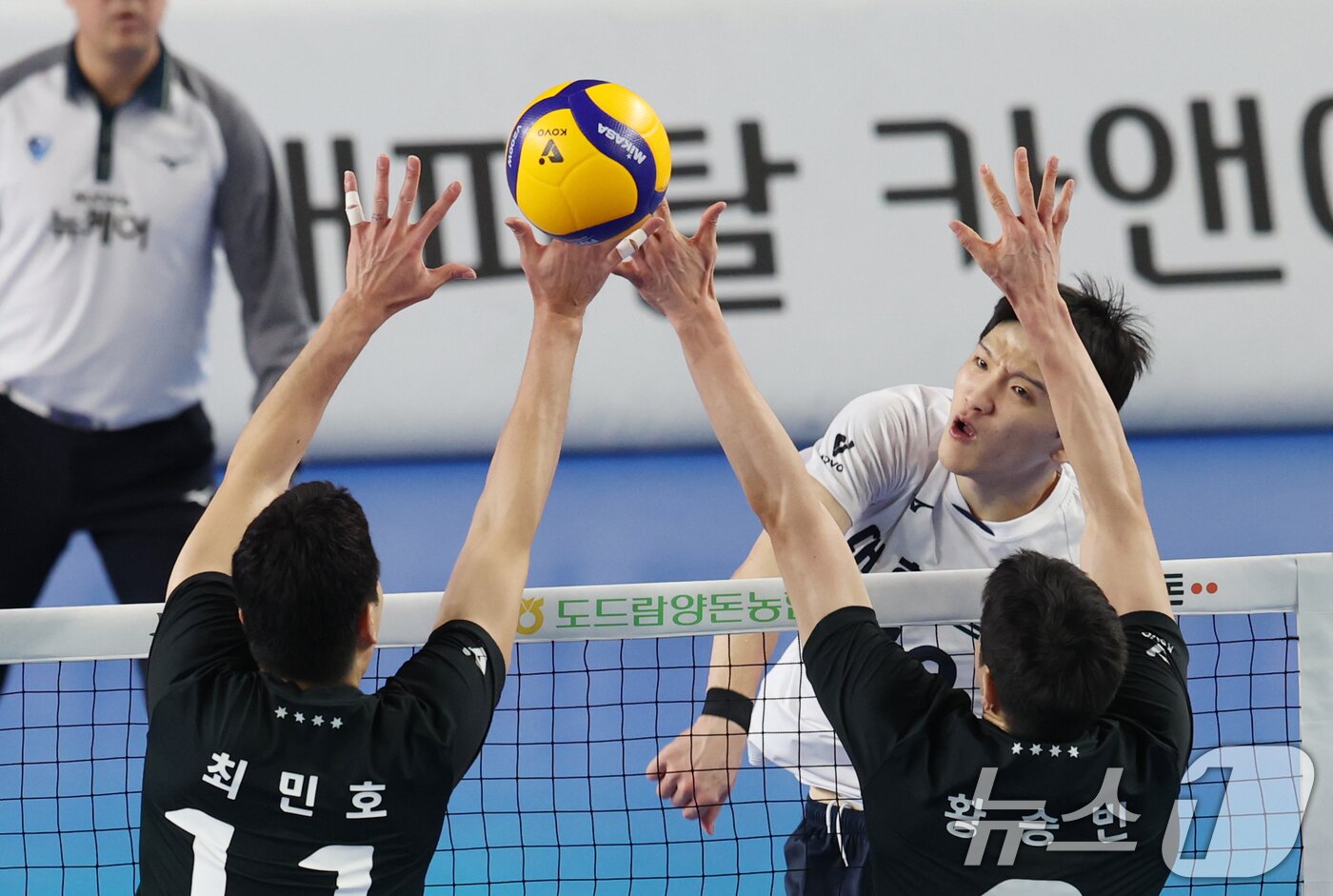 본문 이미지 - 대한항공 정지석. ⓒ 뉴스1 김영운 기자