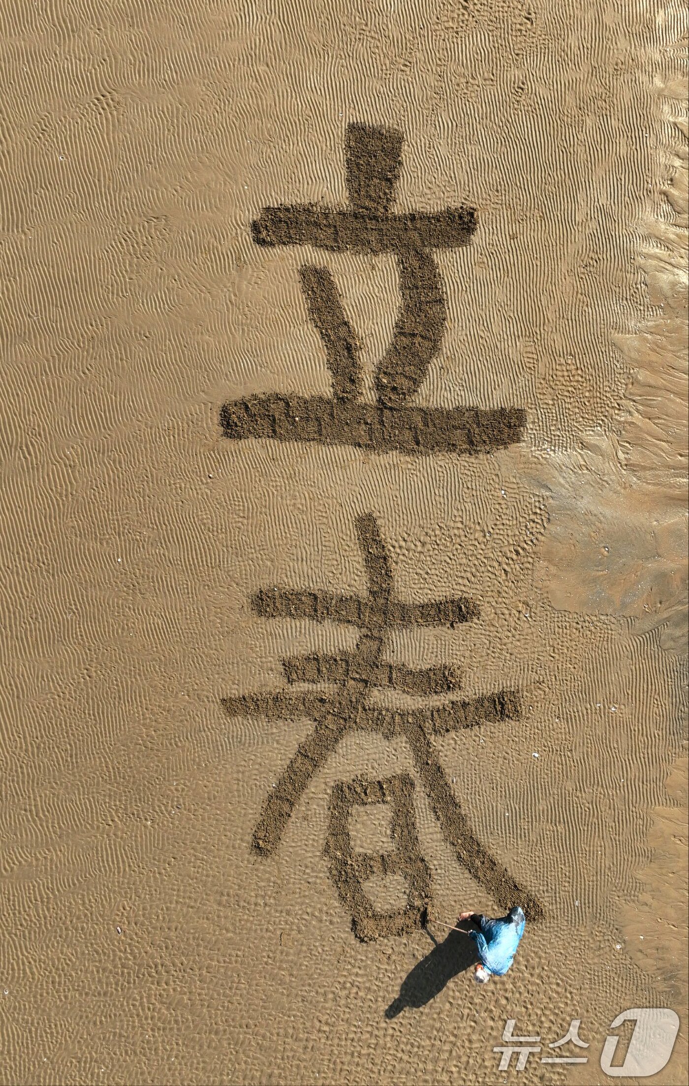 본문 이미지 - 절기상 입춘(立春) 을 하루 앞둔 2일 서예가 김동욱 씨가 경북 포항시 송도해수욕장 백사장에서 대형 입춘첩을 쓰고 있다. 2025.2.2/뉴스1 ⓒ News1 최창호 기자