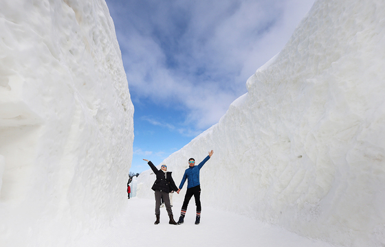 '점점 추워지는 날씨' 겨울 축제 앞둔 강원 지자체 '반색'