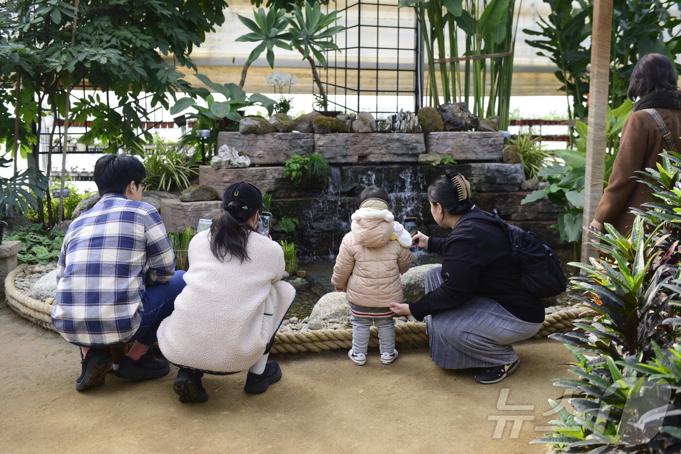 본문 이미지 - 2일 오후 대구 수성구 '생각을 담는 정원' 내부에 마련된 연못에서 시민들이 사진을 촬영하며 추억을 남기고 있다. 2025.2.2/뉴스1 ⓒ News1 이성덕 기자