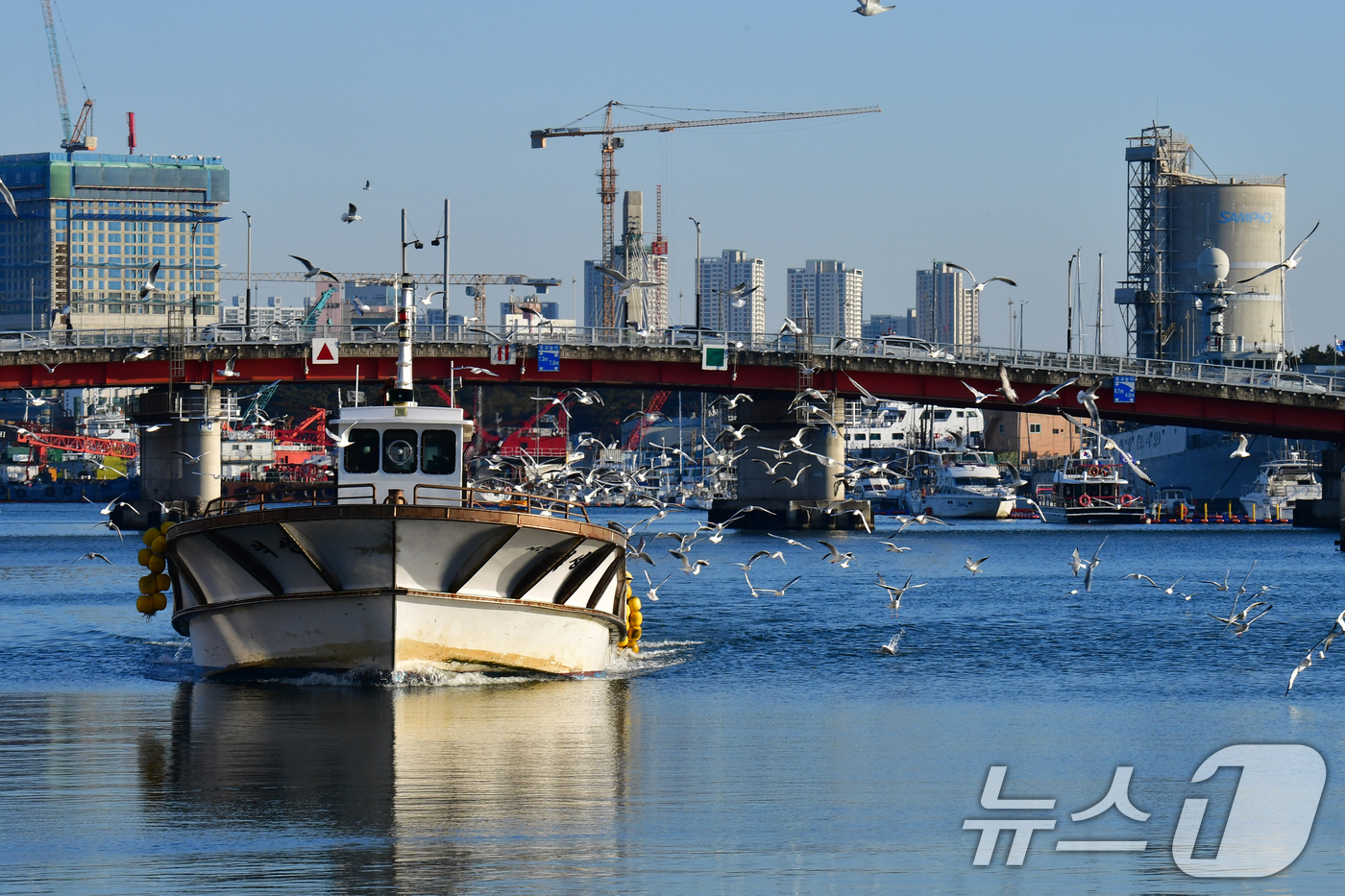 (포항=뉴스1) 최창호 기자 = 20일 오전 아침 조업을 마친 어선이 경북 포항시 죽도어시장 위판장으로 들어오고 있다. 2025.2.20/뉴스1