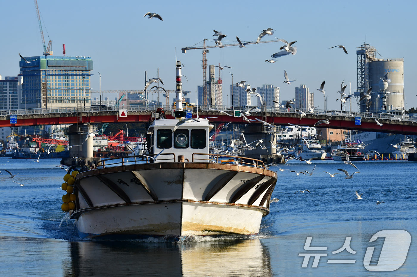 (포항=뉴스1) 최창호 기자 = 20일 오전 아침 조업을 마친 어선이 경북 포항시 죽도어시장 위판장으로 들어오고 있다. 2025.2.20/뉴스1