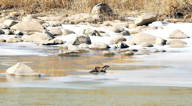 평창군, 해빙기 산사태취약지역 점검 중