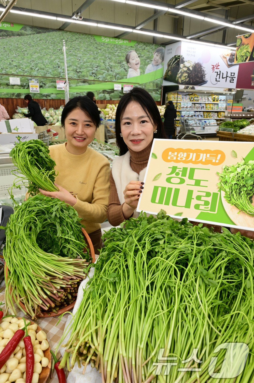 (서울=뉴스1) = 20일 서울 서초구 하나로마트 양재점에서 모델들이 청도 미나리를 소개하고 있다.청도 미나리는 봄나물 중에서 연하고 향이 좋기로 유명하다. (농협유통 제공. 재판 …