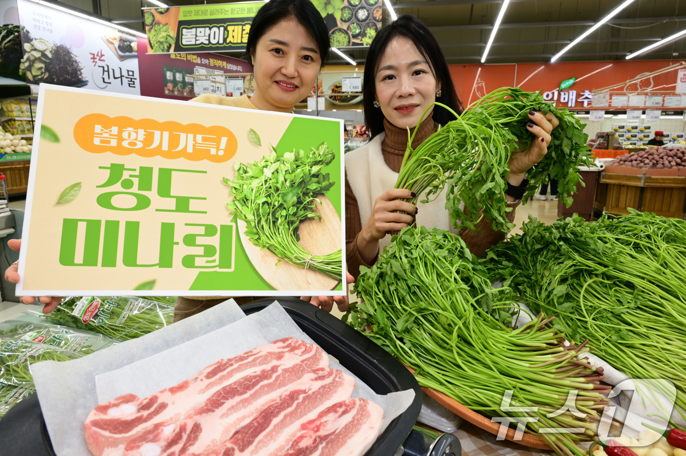 (서울=뉴스1) = 20일 서울 서초구 하나로마트 양재점에서 모델들이 청도 미나리를 소개하고 있다.청도 미나리는 봄나물 중에서 연하고 향이 좋기로 유명하다. (농협유통 제공. 재판 …