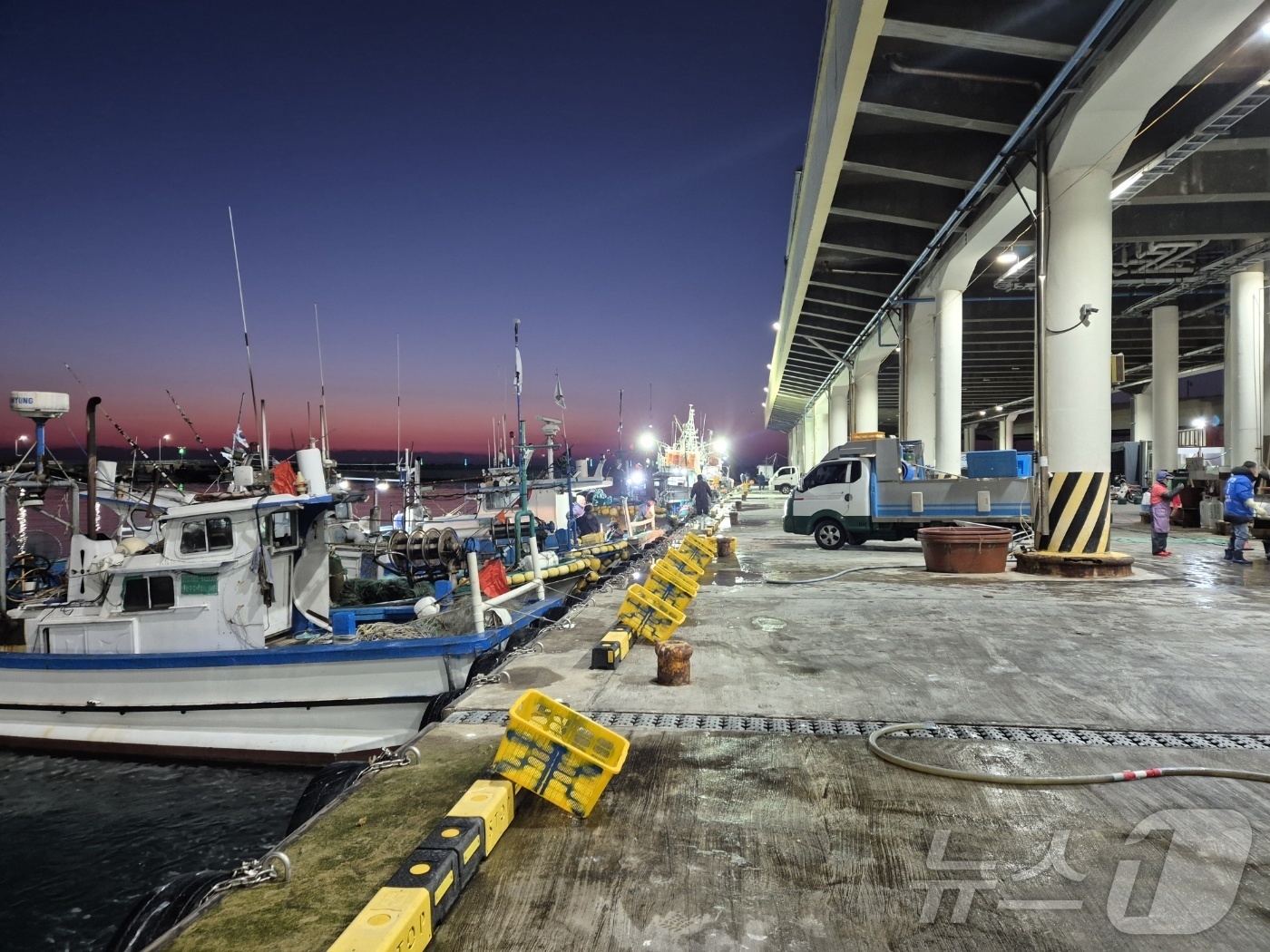 (강릉=뉴스1) 윤왕근 기자 = 강원 동해안 대표 어항(漁港)인 강릉시 주문진읍 주문진항에 조업을 마치고 온 어선들이 정박해 있다. 2025.2.21/뉴스1