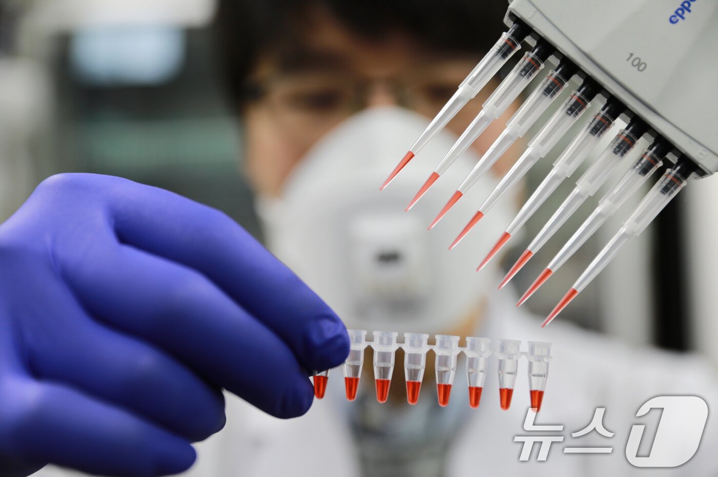 본문 이미지 - 한 연구원이 감염병 진단 검사를 진행하고 있다. &#40;사진은 기사 내용과 무관함.&#41; &#40;광주광역시 제공. 재판매 및 DB 금지&#41;/뉴스1 ⓒ News1 박준배 기자