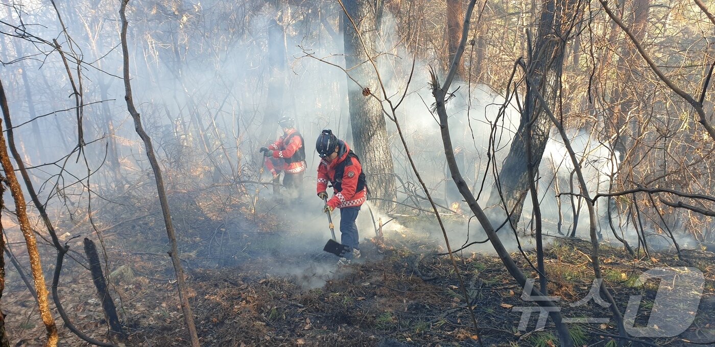 본문 이미지 - 21일 강원 강릉 구정면 제비리 산불 현장.(동부지방산림청 제공, 재판매 및 DB 금지) 2025.2.21/뉴스1