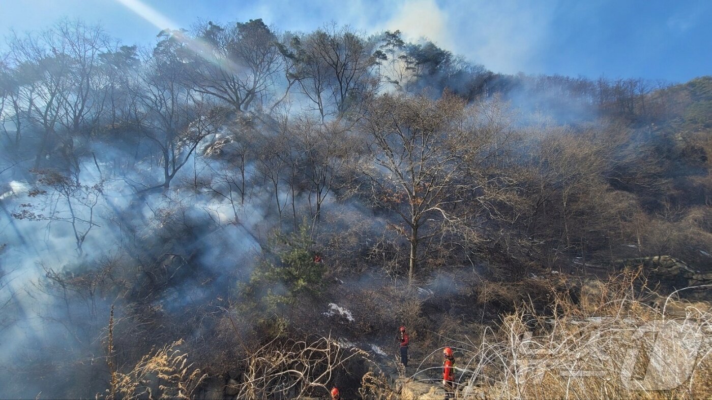 본문 이미지 - 충북 단양군 영춘면 상리 산불.(단양소방서 제공. 재판매 및 DB금지)/뉴스1 