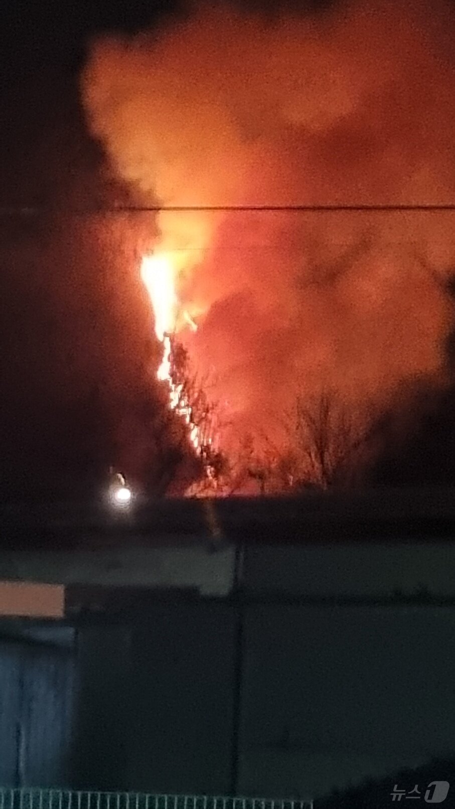 본문 이미지 - 21일 오후 강원 정선군 여량면 산불 현장.(동부지방산림청 제공, 재판매 및 DB 금지) 2025.2.21/뉴스1