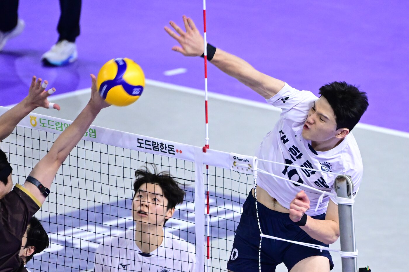 본문 이미지 - 대한항공 정지석. (KOVO 제공)