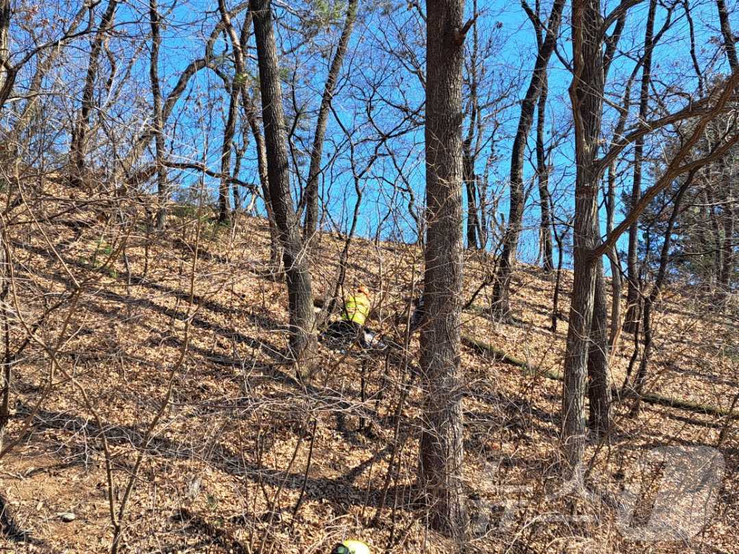 본문 이미지 - 22일 오후 1시 11분쯤 강원 홍천군 화촌면 동홍천IC 인근 한 산에서 50대 남성이 나무에 깔리는 사고를 겪고 병원으로 옮겨졌지만 숨졌다. (강원도소방본부 제공. 재판매 및 DB금지) 2025.2.22/뉴스1
