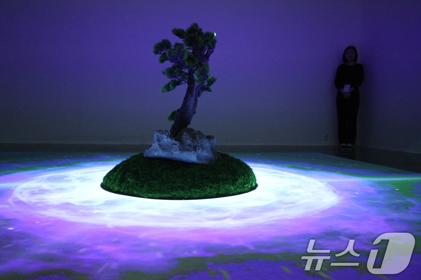 본문 이미지 - 24일 서울 종로구 세종문화회관 미술관에서 열린 미음완보 전통정원을 거닐다 전시회 언론공개회에서 참석자들이 미디어 콘텐츠를 관람하고 있다. 2025.2.24/뉴스1 ⓒ News1 신웅수 기자