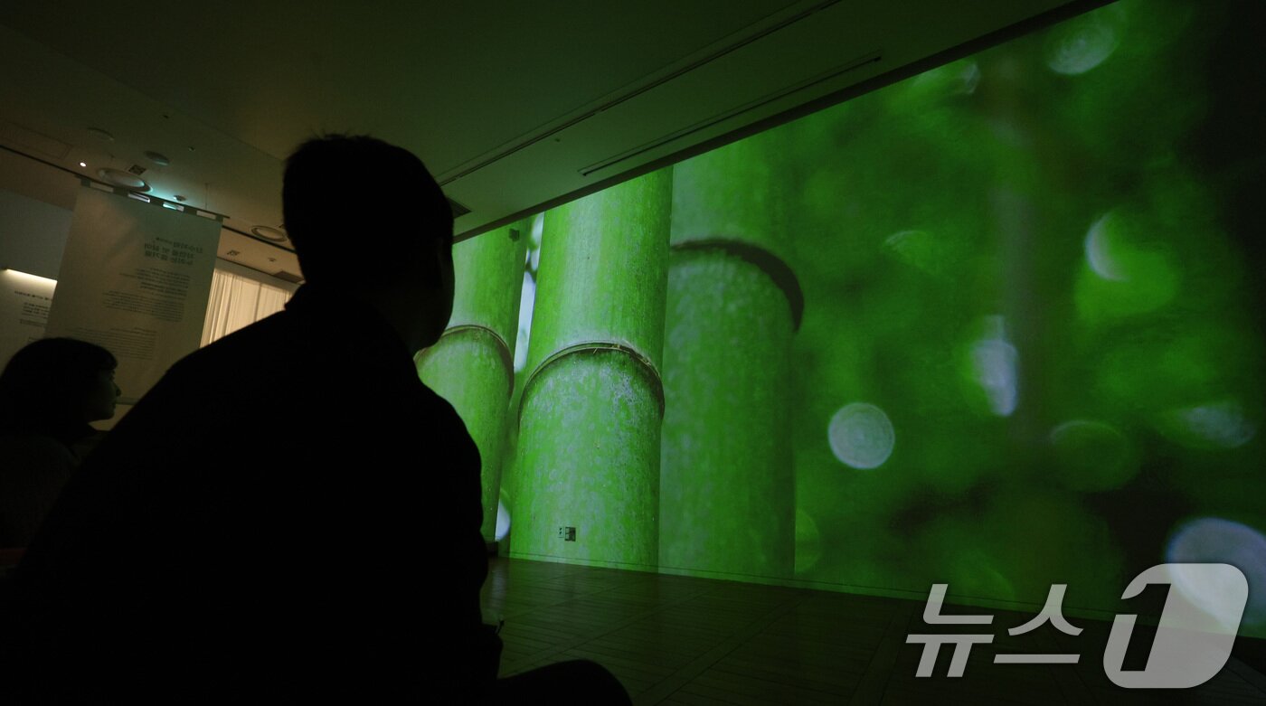 본문 이미지 - 24일 서울 종로구 세종문화회관 미술관에서 열린 미음완보 전통정원을 거닐다 전시회 언론공개회에서 참석자들이 미디어 콘텐츠를 관람하고 있다. 2025.2.24/뉴스1 ⓒ News1 신웅수 기자