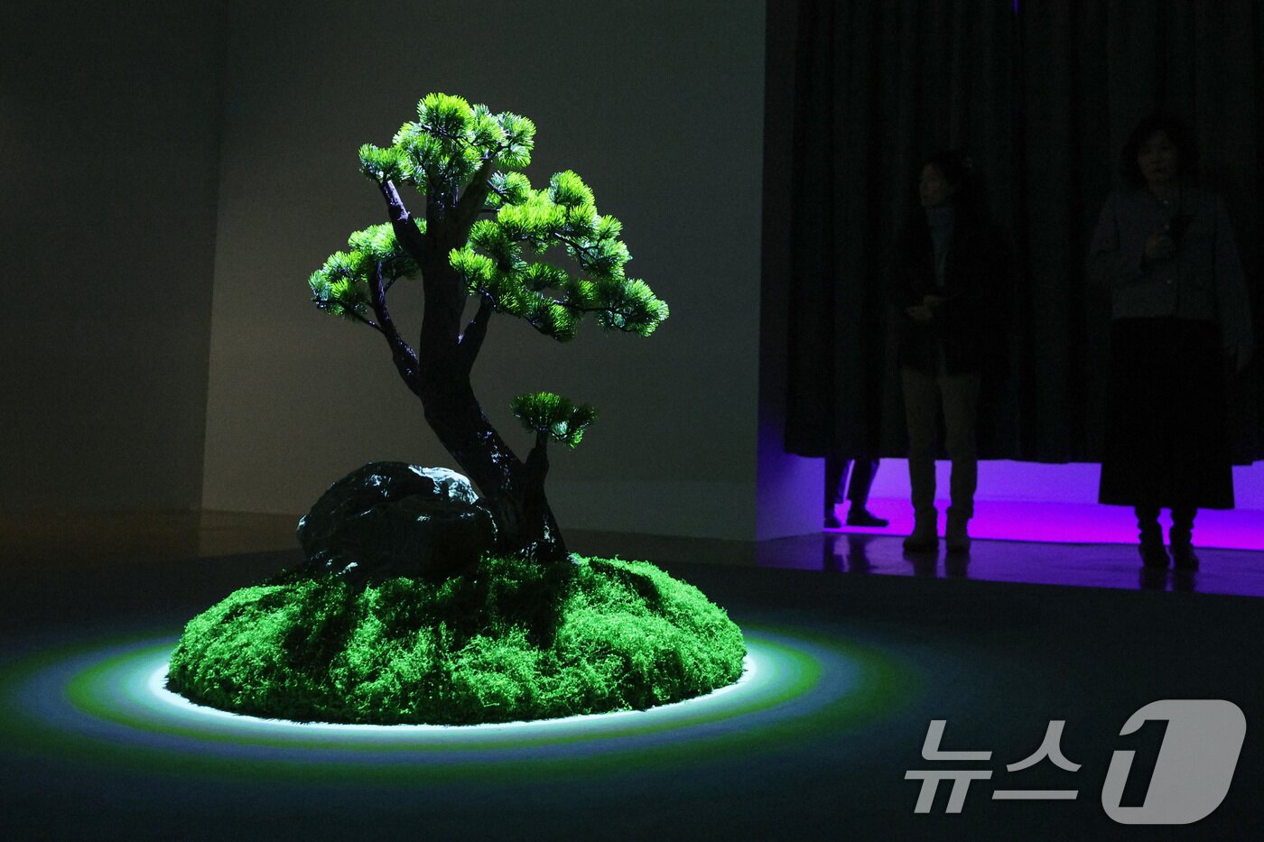 본문 이미지 - 24일 서울 종로구 세종문화회관 미술관에서 열린 미음완보 전통정원을 거닐다 전시회 언론공개회에서 참석자들이 미디어 콘텐츠를 관람하고 있다. 2025.2.24/뉴스1 ⓒ News1 신웅수 기자