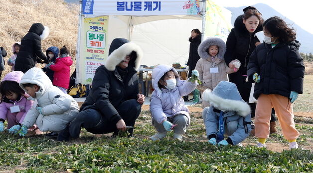 청자축제서 나물 캐는 어린이들