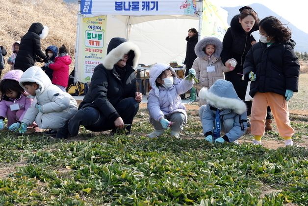 청자축제서 나물 캐는 어린이들