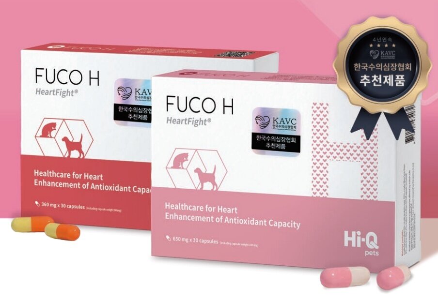 본문 이미지 - 한국수의심장협회 추천 제품으로 선정된 후코에이치  (하이큐펫츠 제공) ⓒ 뉴스1