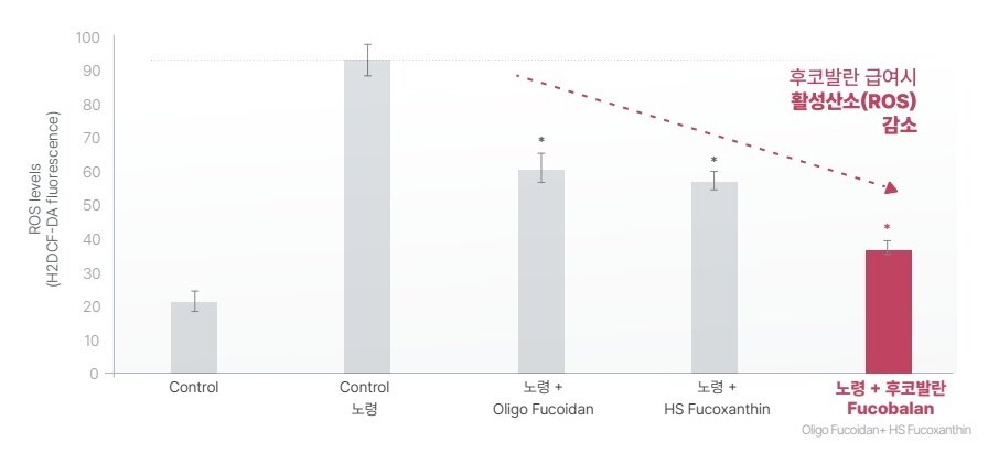 본문 이미지 - 후코에이치의 핵심 성분인 고안정성 후코잔틴(후코발란)은 연구 결과 산화 스트레스로부터 손상을 줄이는 데 도움을 주는 것으로 입증됐다. (하이큐펫츠 제공) ⓒ 뉴스1