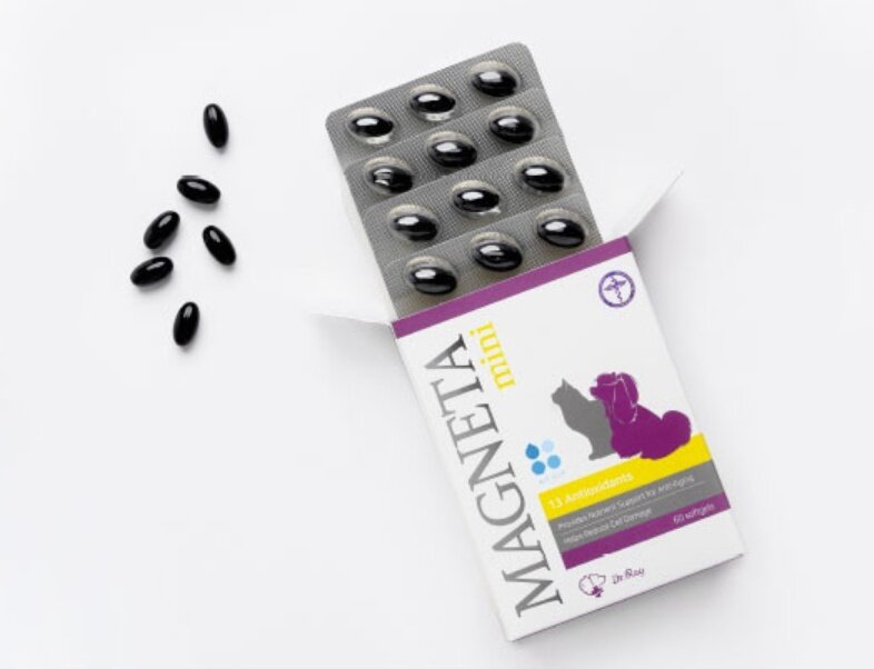 본문 이미지 - 총 13가지 항산화 영양소가 함유된 닥터레이의 마그네타는 급여 결과 항산화 지표가 향산된 것으로 나타났다. (한국반려동물영양연구소 제공) ⓒ 뉴스1