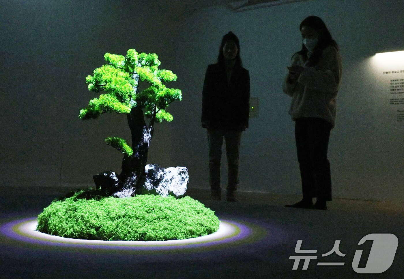 본문 이미지 - 24일 서울 종로구 세종문화회관 미술관에서 열린 미음완보 전통정원을 거닐다 전시회 언론공개회에서 참석자들이 미디어 콘텐츠를 관람하고 있다.  2025.2.24/뉴스1 ⓒ News1 신웅수 기자