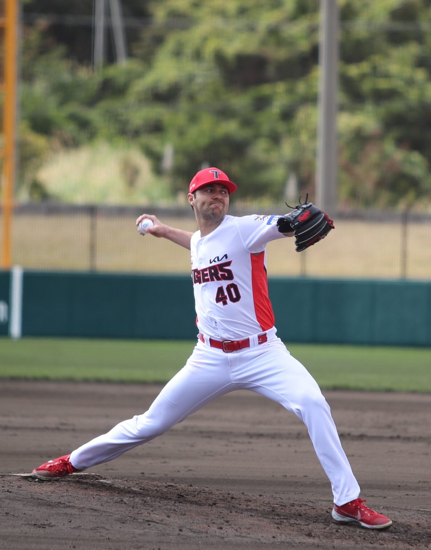 본문 이미지 - KIA 제임스 네일.(KIA 타이거즈 제공)