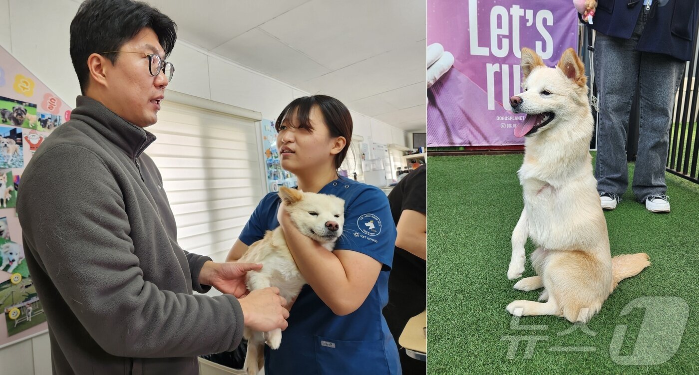 본문 이미지 - 김종인 VIP동물의료센터 청담점 원장이 한쪽 앞다리를 잃은 &#39;룽지&#39;의 다리를 촉진하며 마사지 방법에 대해 설명하고 있다. ⓒ 뉴스1 한송아 기자