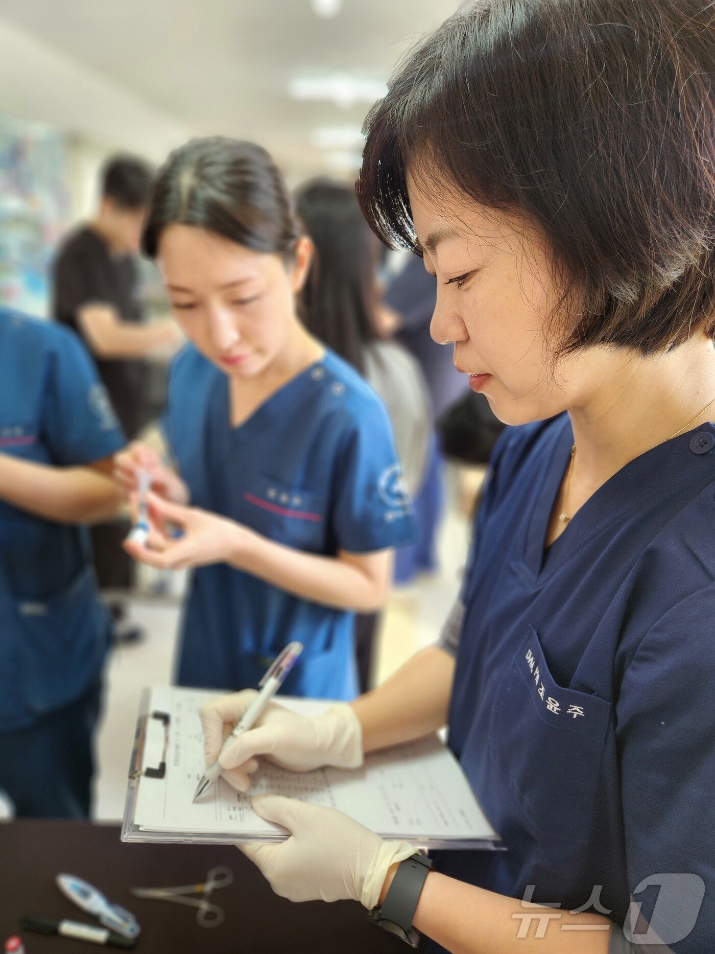 본문 이미지 - 조윤주 VIP동물의료센터 기업부설연구소장이 보호동물 건강검진기록지를 작성하고 있다. ⓒ 뉴스1 한송아 기자