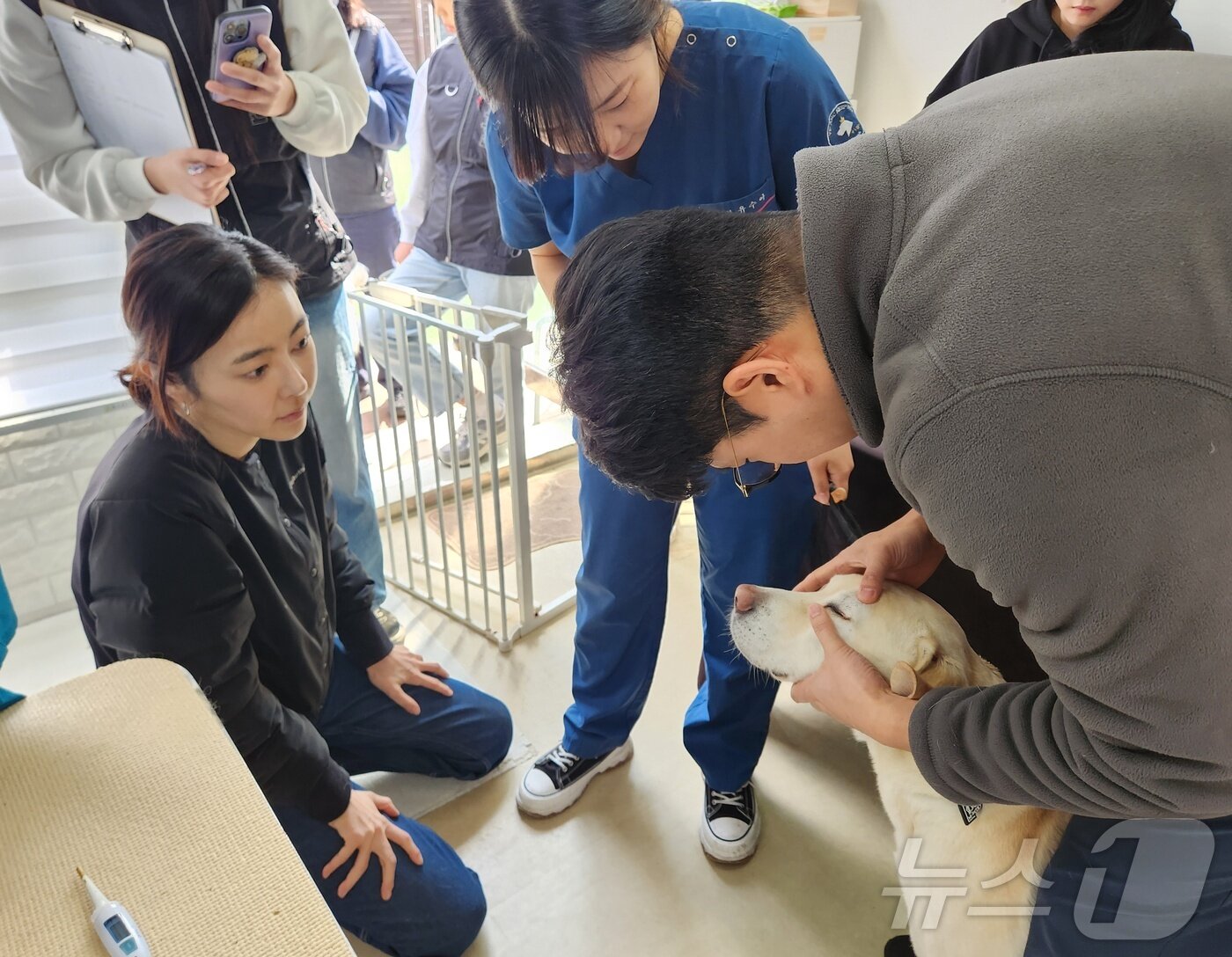 본문 이미지 - 김효진 도그어스플래닛 대표가 보호동물의 검진을 도우며 설명을 듣고 있다. ⓒ 뉴스1 한송아 기자