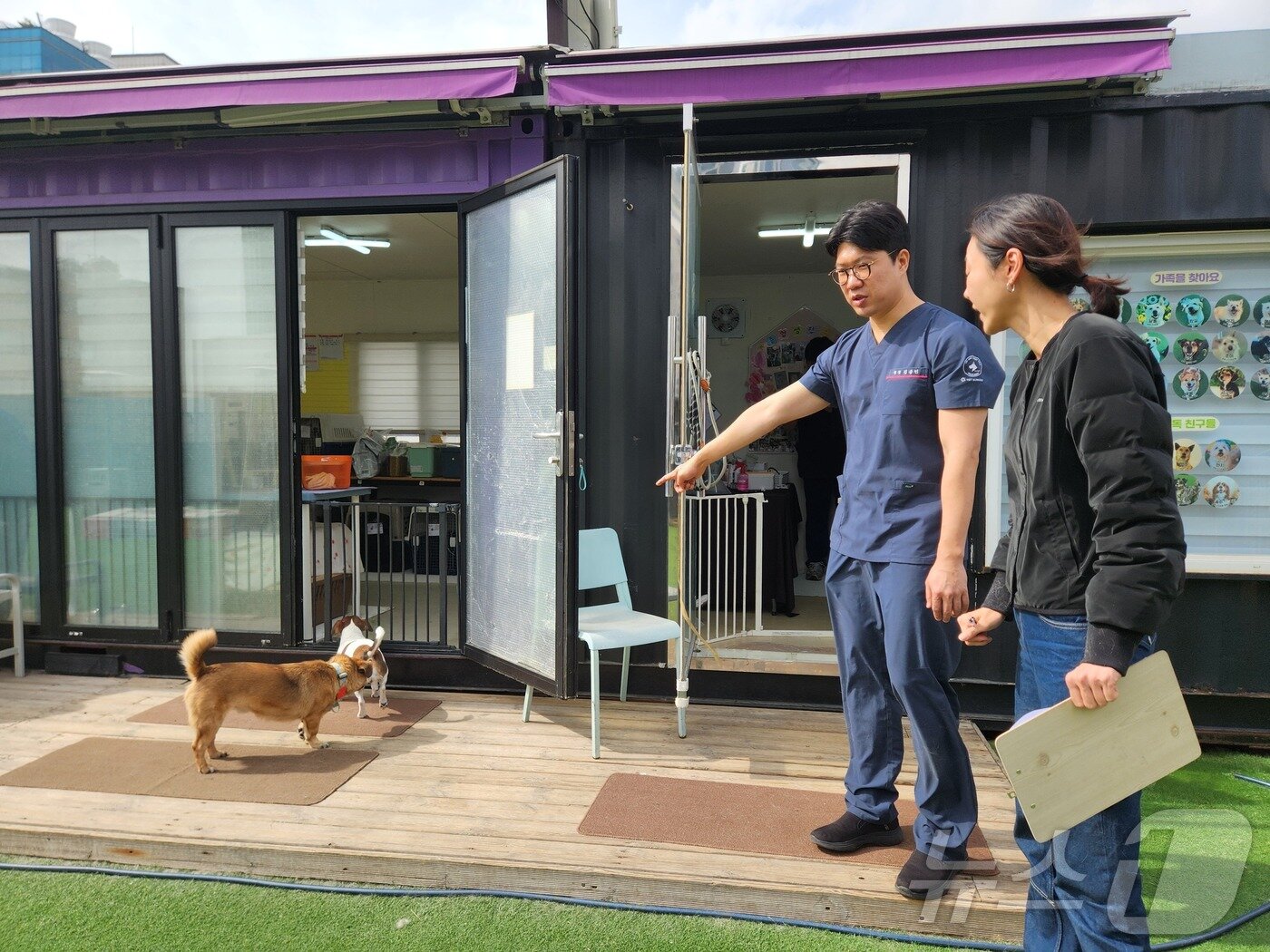 본문 이미지 - 김종인 VIP동물의료센터 청담점 원장이 보호동물의 보행평가를 하며 설명하고 있다. ⓒ 뉴스1 한송아 기자