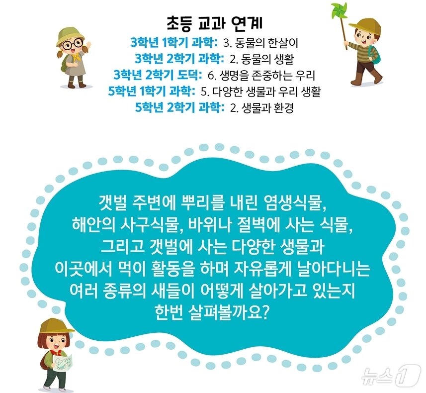 본문 이미지 - 댕글댕글~ 갯벌 한 바퀴