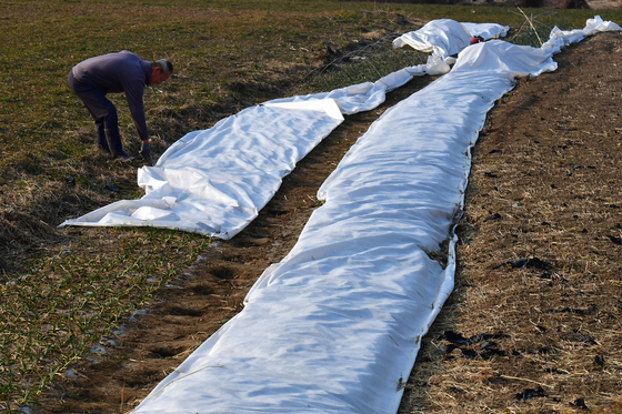 보은군, 친환경 멀칭비닐 지원 추진…"농업인 노동력 절감"