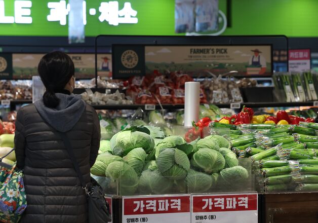 "국산은 금치"…1분기 中 김치 수입액 역대 최고치 경신